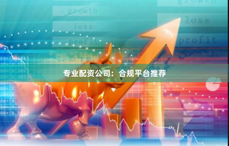 专业配资公司：合规平台推荐