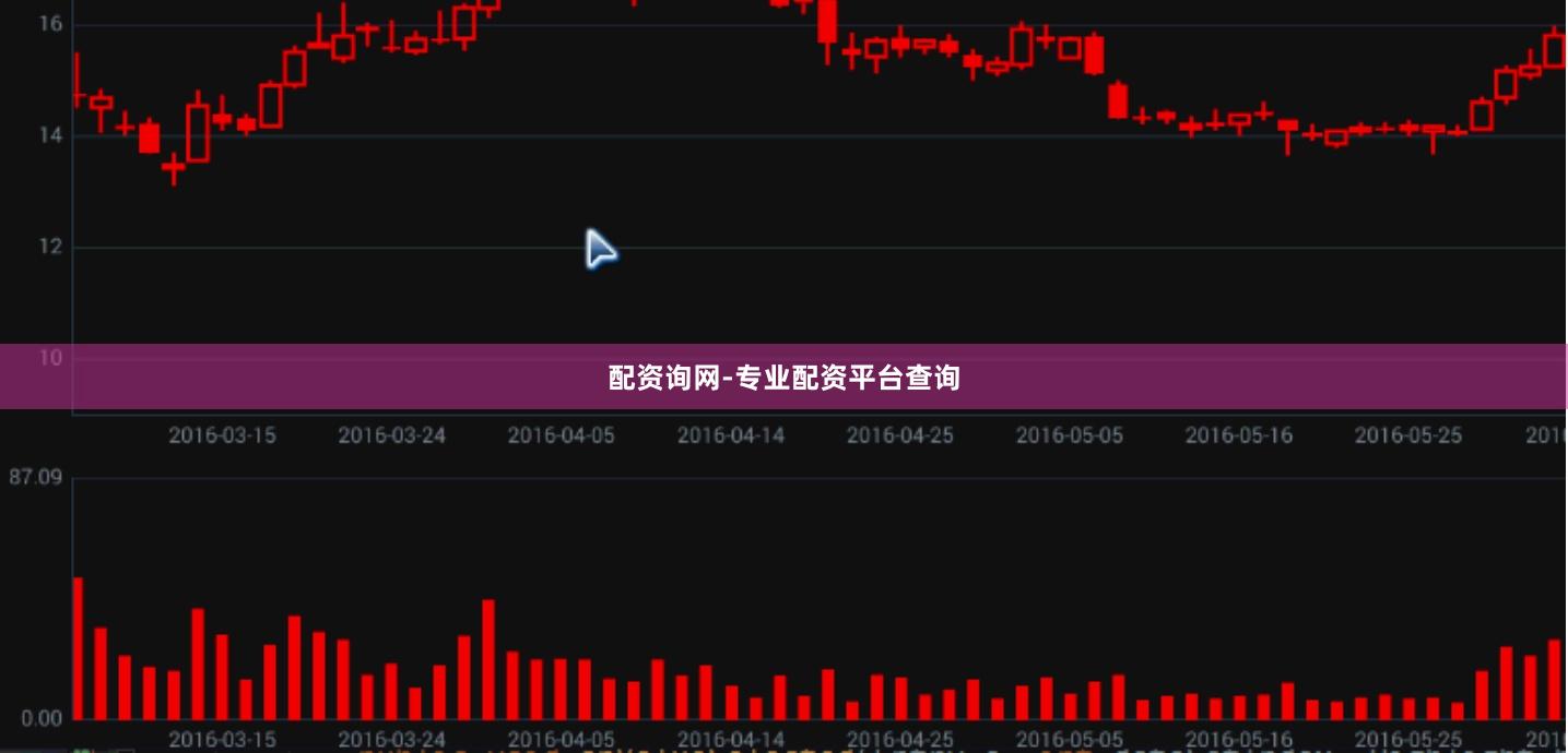 配资询网-专业配资平台查询